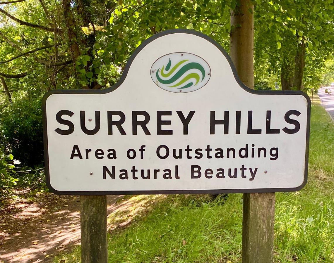 Ranmore Rise Retreat In The Surrey Hills ドーキング エクステリア 写真