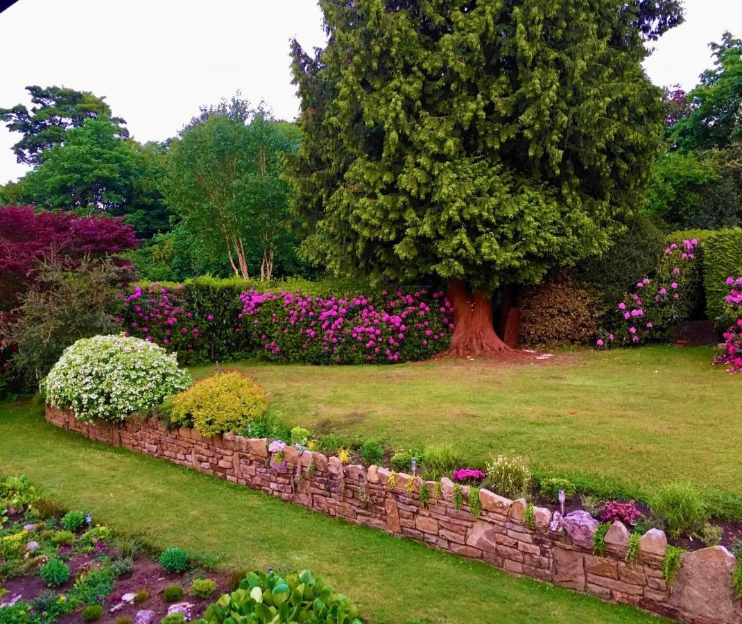 Ranmore Rise Retreat In The Surrey Hills ドーキング エクステリア 写真